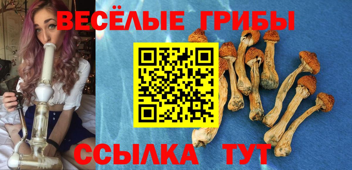 Галлюциногенные грибы мицелий Новозыбков