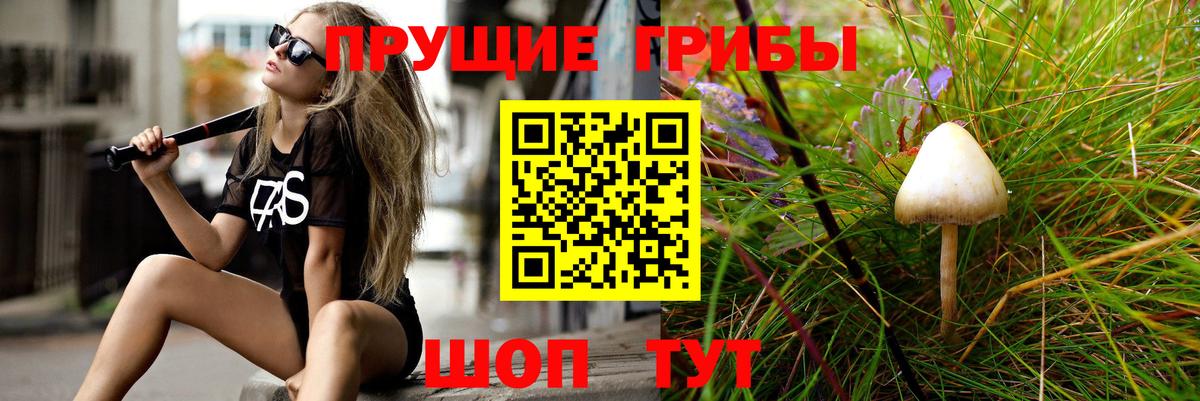 Галлюциногенные грибы Magic Shrooms  Вход с VPN  Галлюциногенные грибы мицелий  Новозыбков 