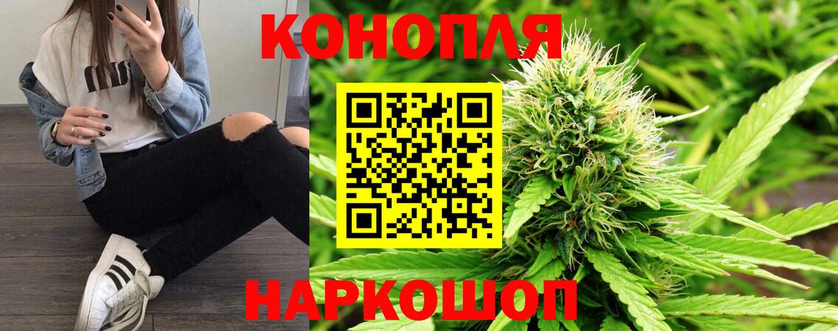 Бошки марихуана THC 21% Новозыбков